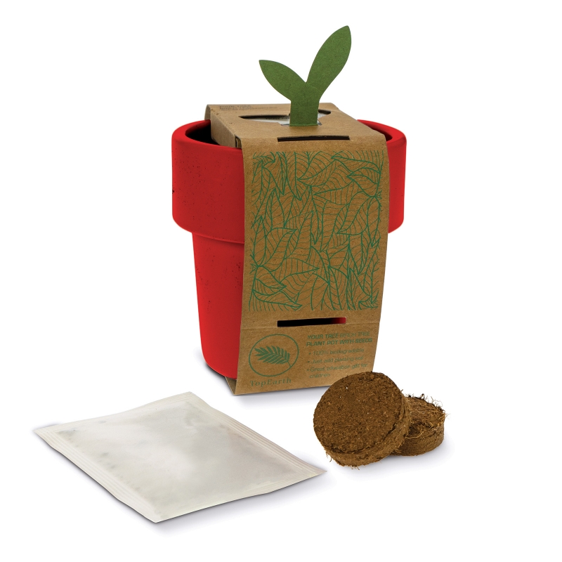 Cup with seeds - Image 7